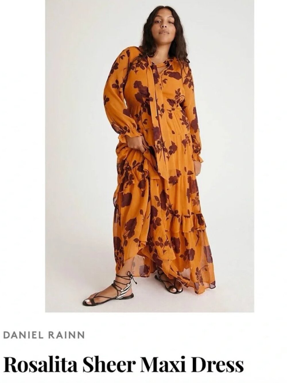 Anthropologie Daniel Rainn Rosalita Sheer Maxi Dress Marigold Floral L